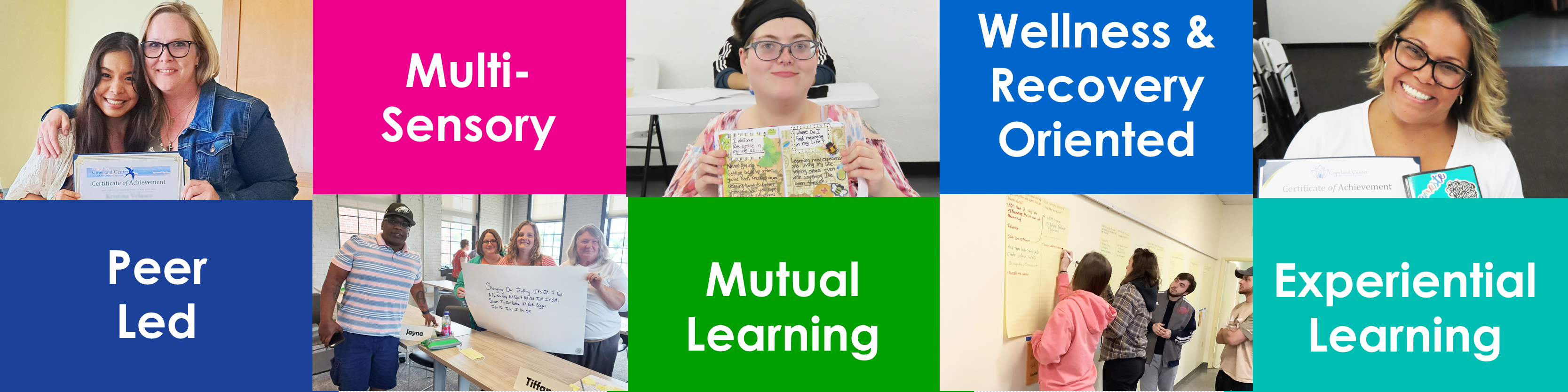 training participants, with the words Peer led, multi-sensory, mutual learning, recovery oriented, experiential learning