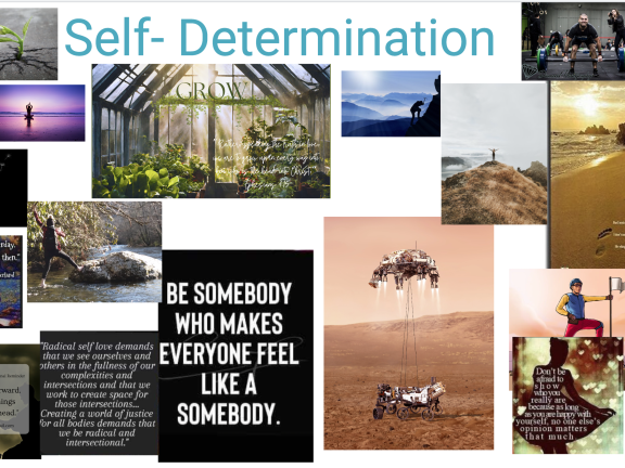 Self Determination Image Jamboard